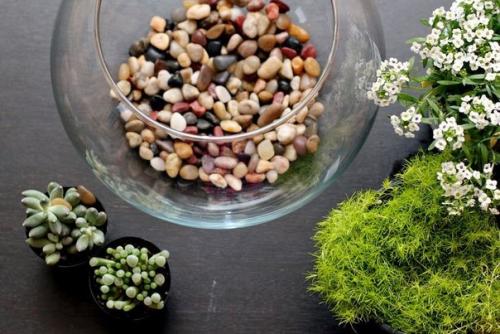 Создайте свой мини - сад вместе с детьми! 01