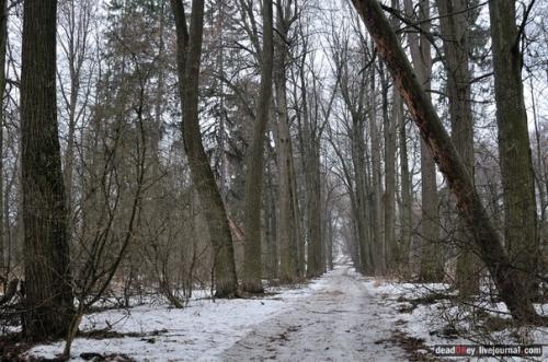 Усадьба иславское, московская область, одинцовский район. 06
