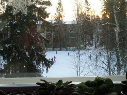 Главные отличия финского жилья: 05