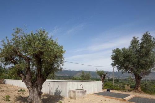 Часть 1. дом фонти боа (Fonte Boa House) в Португалии от Joao Mendes Ribeiro Arquitecto. 09