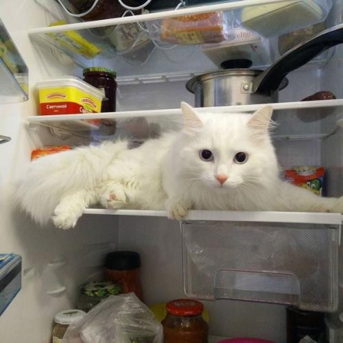 Прочитайте, не пожалеете! 01