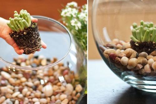 Создайте свой мини - сад вместе с детьми! 03