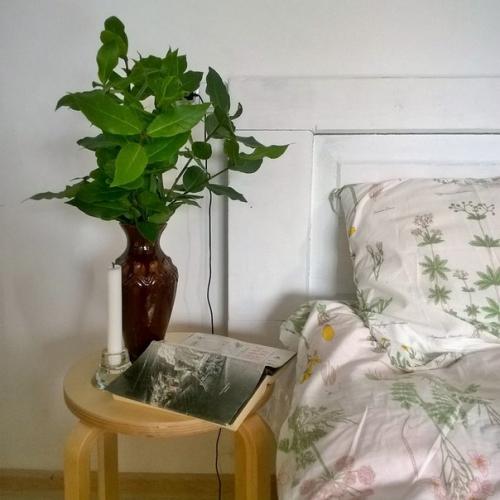 Я уже здесь свою гостиную с элементами сканди показывала.