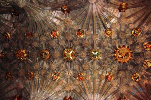 Архитектура. Architecture Cathedral собор. 05