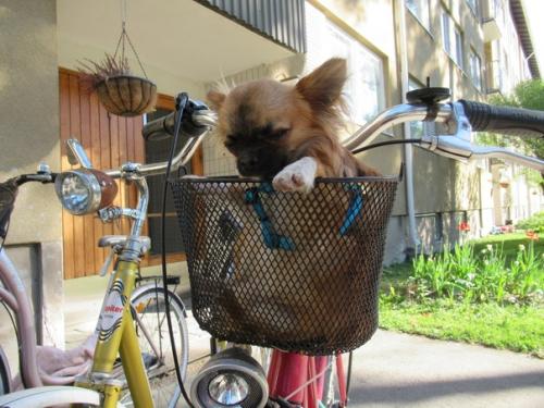 Главные отличия финского жилья: 02