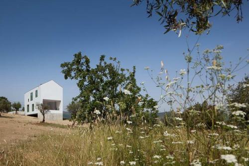 Часть 1. дом фонти боа (Fonte Boa House) в Португалии от Joao Mendes Ribeiro Arquitecto. 05