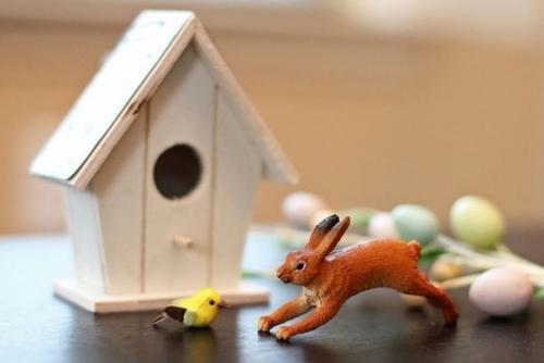 Создайте свой мини - сад вместе с детьми! 02