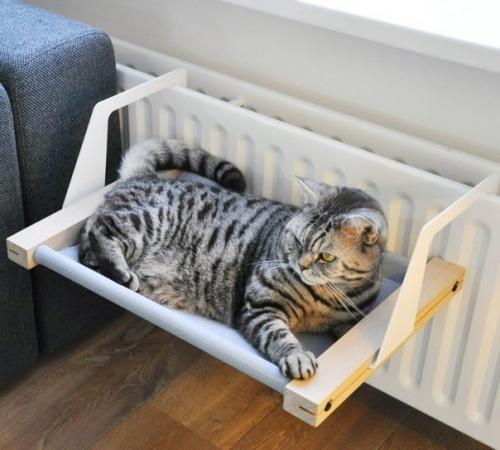 Топ - 9 уютных уголков для котов в небольшой квартире сохраните себе! 03