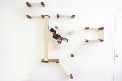 Топ - 9 уютных уголков для котов в небольшой квартире сохраните себе! 02