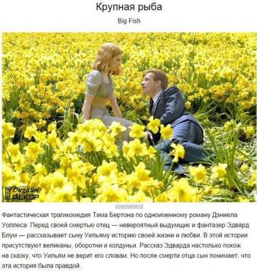 10 фильмов, которые обладают неповторимой магией.  