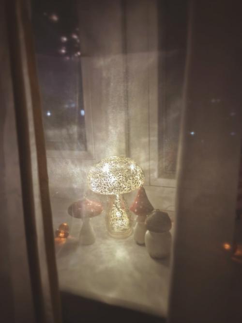 Ноябрь - месяц, когда осень встречается с зимой. 03