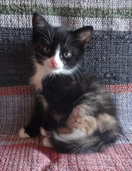 Внимание! Это совсем не жалобный пост. 05 Внимание! Это совсем не жалобный пост. 05