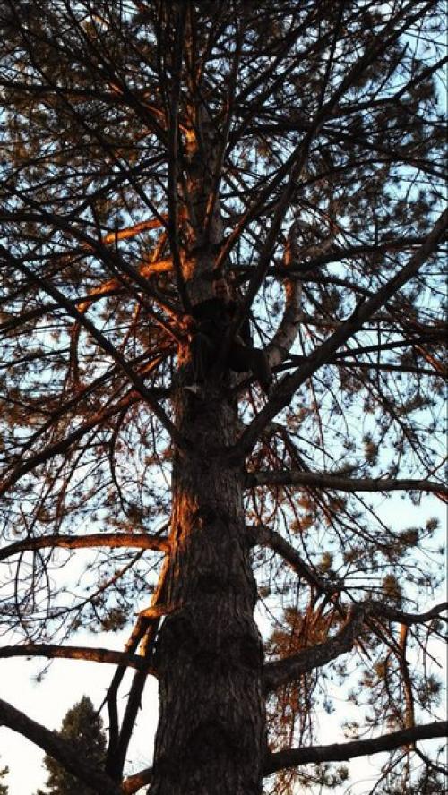 Часть IV пред - пред последняя. 09