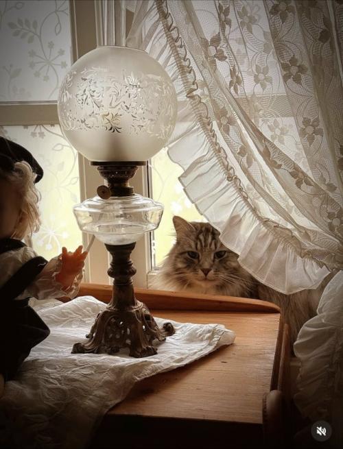 Готовы отправиться вместе с нами в Норвегию? 08 Готовы отправиться вместе с нами в Норвегию? 08