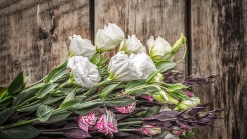 Свежее поступление семян эустомы. 05