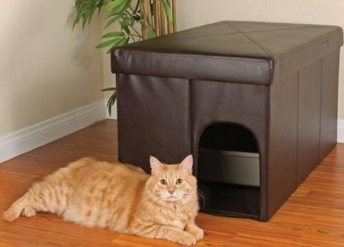 Топ - 9 уютных уголков для котов в небольшой квартире сохраните себе! 06