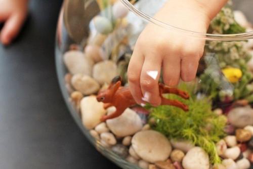 Создайте свой мини - сад вместе с детьми! 05