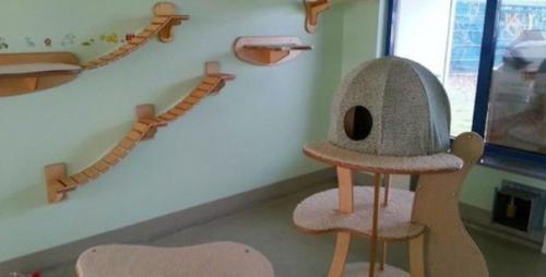 Топ - 9 уютных уголков для котов в небольшой квартире сохраните себе! 04