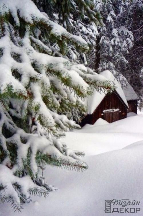 Люблю, когда идёт снег.  