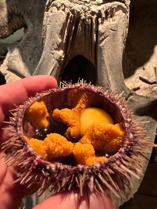 Полярный Кит - это самый северный ресторан, расположенный в живописном и загадочном уголке териберки. 05