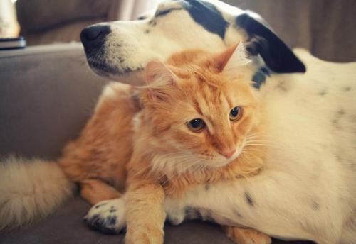 Как сделать добро, живя в Петербурге. 02