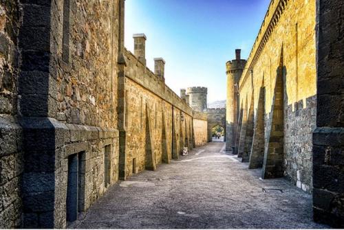 Крым - это не просто полуостров, входящий в состав России, а целый отдельный мир, живущий по своим особым правилам и канонам. 09