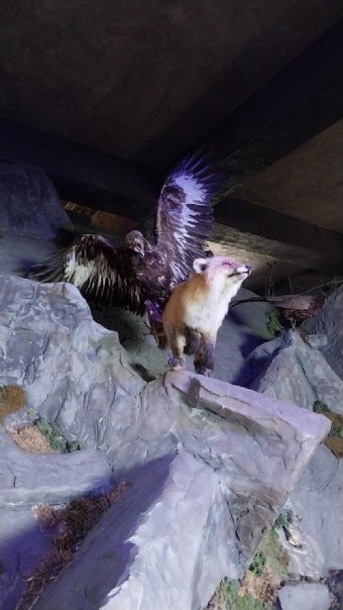 Ингушетия.  Магас.  Башня согласия. 05