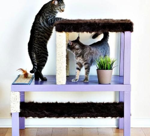 Топ - 9 уютных уголков для котов в небольшой квартире сохраните себе! 05