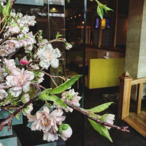 Васаби - ресторан восточной кухни, в котором уживается огромное многообразие культурных традиций - от японской до экзотической паназиатской. 06