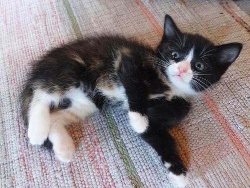 Внимание! Это совсем не жалобный пост. 04 Внимание! Это совсем не жалобный пост. 04