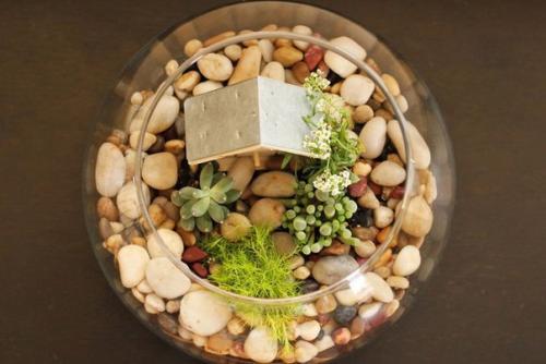 Создайте свой мини - сад вместе с детьми! 04