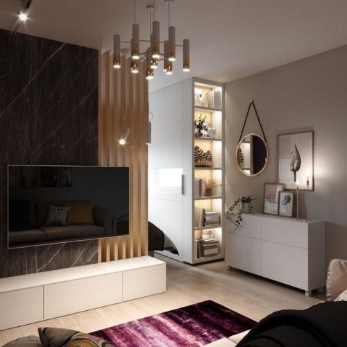 Современный интерьер однокомнатной квартиры, предназначенный для молодой женщины. 04