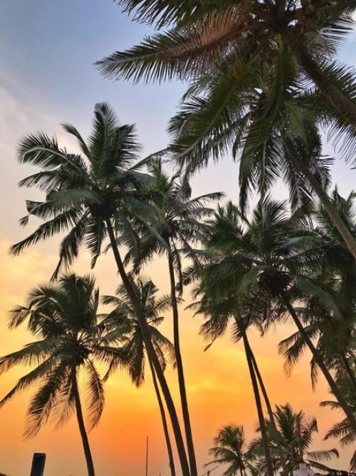 Кто явки и пароли по гоа ждал? 03