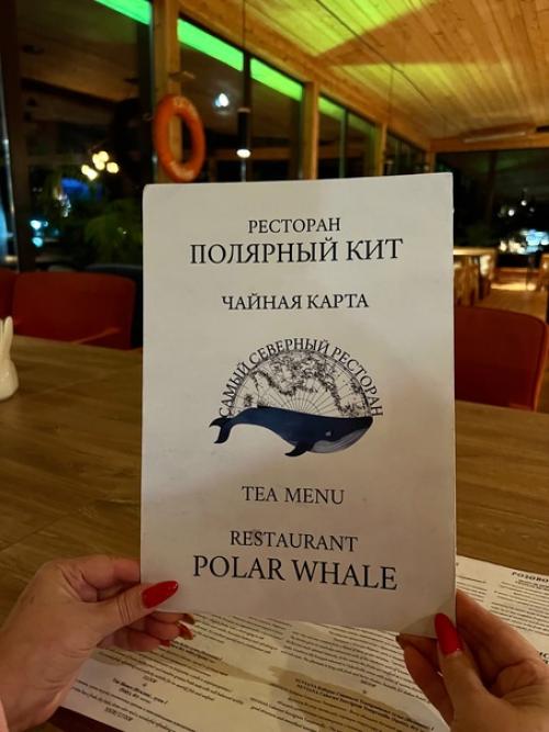 Полярный Кит - это самый северный ресторан, расположенный в живописном и загадочном уголке териберки. 07