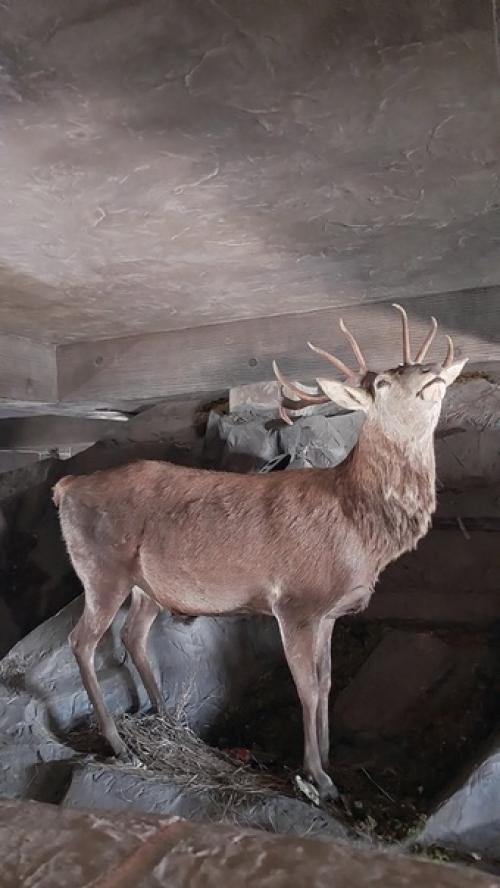 Ингушетия.  Магас.  Башня согласия. 06