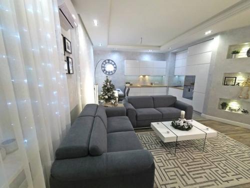 Кухня - гостиная.  Интерьер в холодных тонах. 04