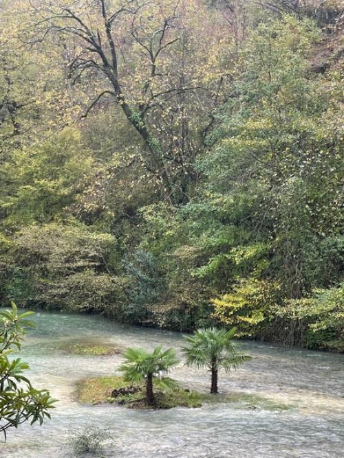 Абхазия.  Гагра.  Новый Афон есть. 02