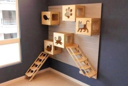 Топ - 9 уютных уголков для котов в небольшой квартире сохраните себе! 07