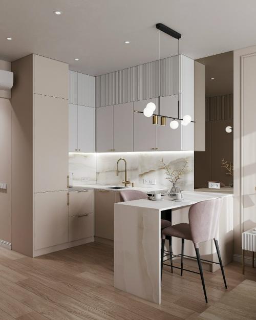 Проект компактной квартиры - студии 23, 7 м 2 в ЖК Neva Haus в Санкт-петербурге. 01