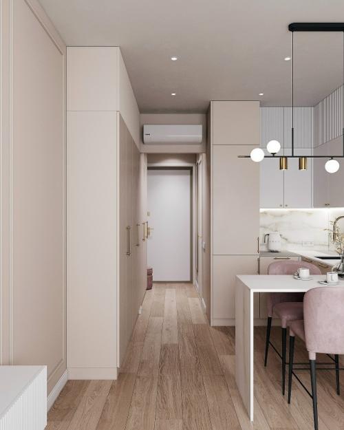 Проект компактной квартиры - студии 23, 7 м 2 в ЖК Neva Haus в Санкт-петербурге. 04