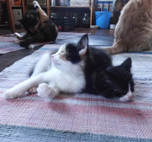 Внимание! Это совсем не жалобный пост. 03 Внимание! Это совсем не жалобный пост. 03