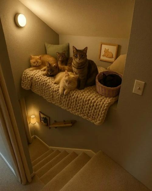 Парень решил спросить у пользователей, как красиво можно обыграть необычную деталь в интерьере - результаты превзошли все ожидания. 04