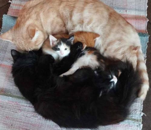 Внимание!  Это совсем не жалобный пост.  