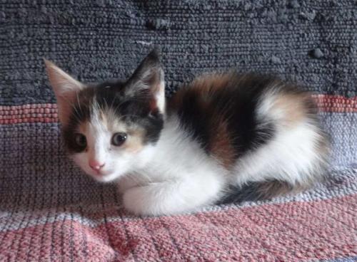 Внимание! Это совсем не жалобный пост. 02 Внимание! Это совсем не жалобный пост. 02