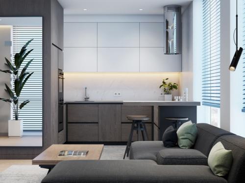 Дизaйн кyxни гостинoй площaдью 22 m. 01