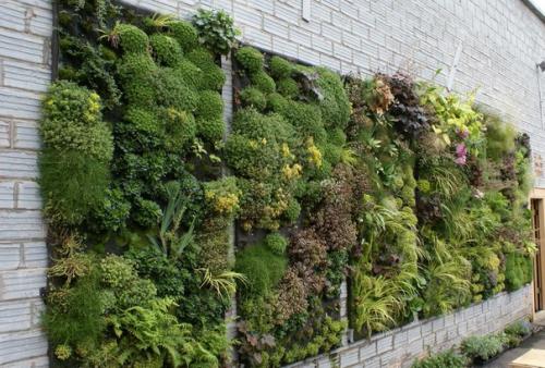 Принципы создания вертикальных садов с применением гидропонных блоков. 07