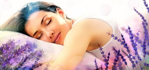 7 комнатных растений для лучшего сна. 05