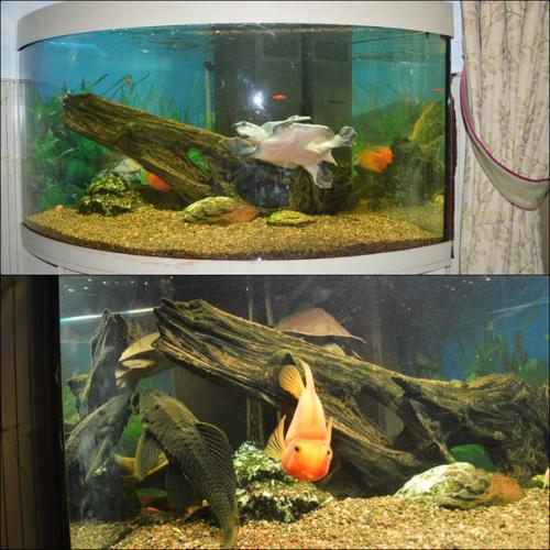 Сегодня мы с мужем отмечали годовщину свадьбы в сказочном кафе Андерсон. 06