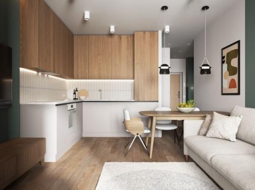 Интерьер однокомнатной квартиры в скандинавском стиле. 01