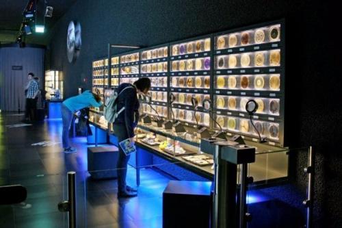 Что показать детям в Амстердаме? 02